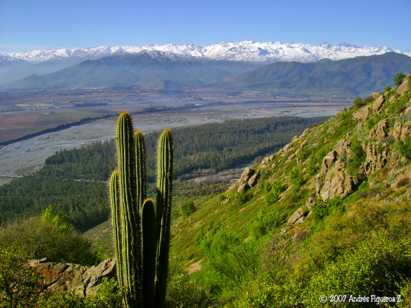 Río Cachapoal, Machalí