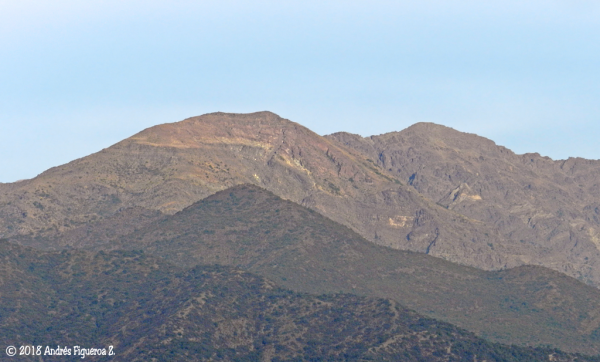 Pelado y Las Lámparas