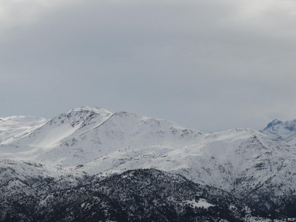 Cerro Carpa Nevado