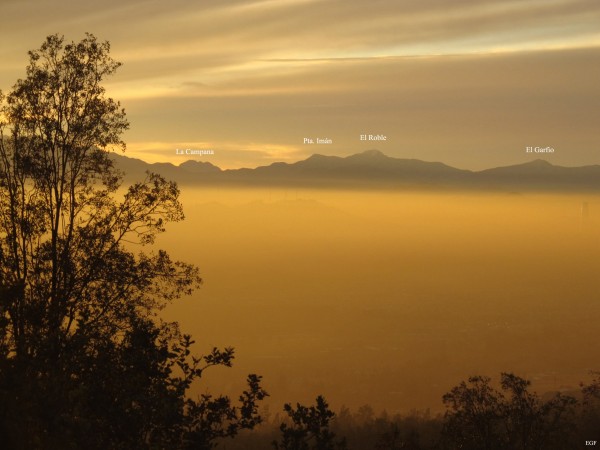 Panorámica al Roble Bajo Arreboles y Luz