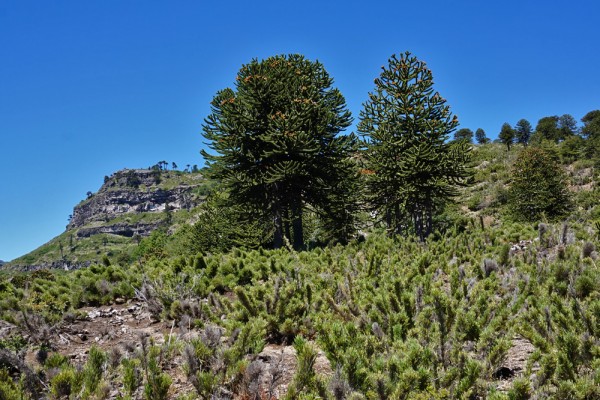 Vista a la falsa cumbre