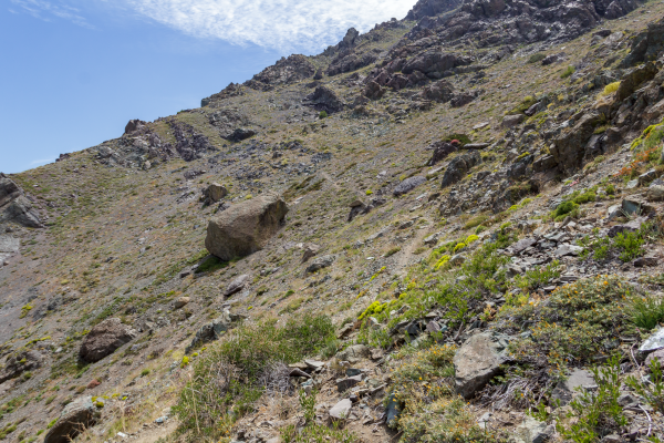 Subida a Morro Ovejeria