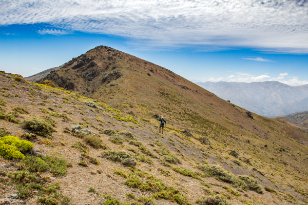 Ladera E del Morro Ovejeria, hacia el Norte