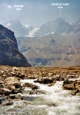 Nevado de Flores