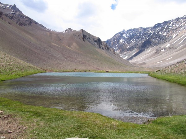 Laguna de los Patos - Estival
