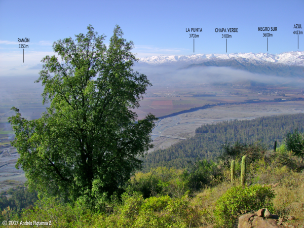 Cerro La Punta