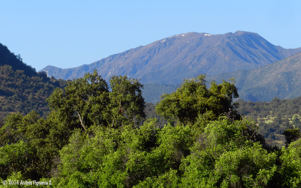 Cerro Pabellones