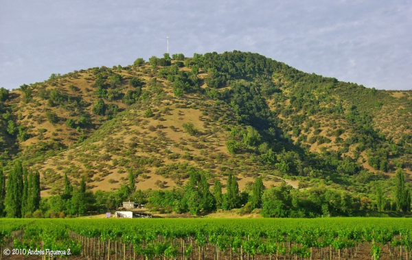 Cerro Tuniche