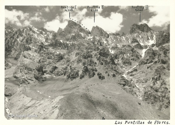 Puntillas de Flores