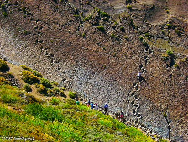 Huellas de dinosaurio