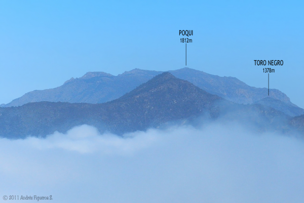 Cerro Poqui