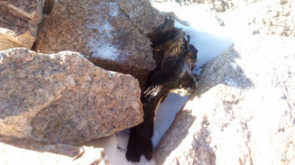 Maderas Ceremoniales