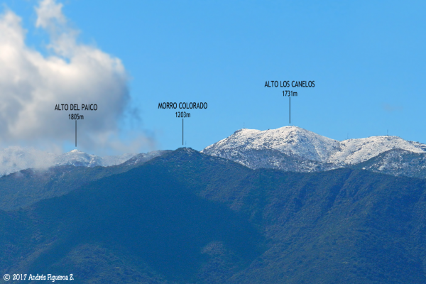 Alto Los Canelos