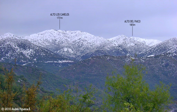 Alto Los Canelos