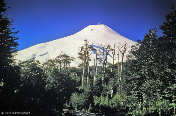 Paisaje invernal