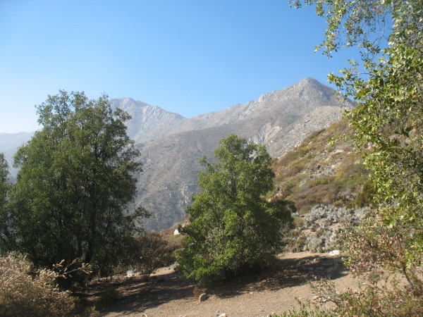 Portezuelo El Pangue