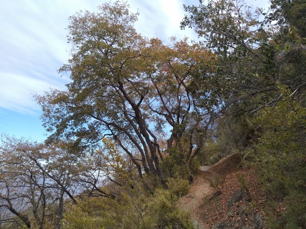 Iniciando el regreso