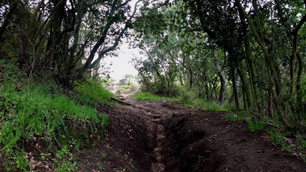 Fin sendero Los Robles