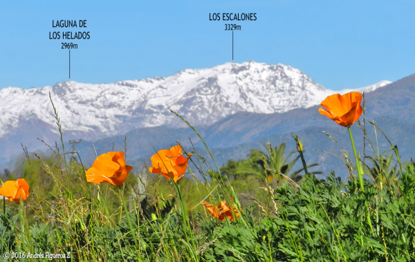 Cerro Laguna de los Helados