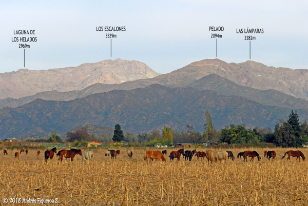 Cordillera de Requínoa