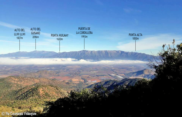 Cordón de Cantillana