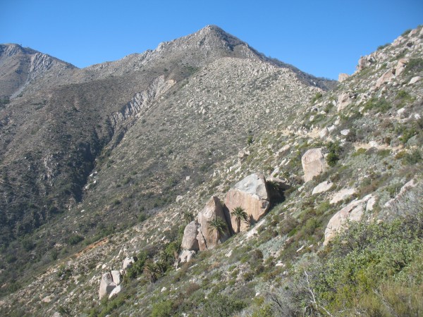 Cara oeste Punta Imán