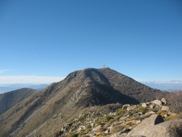 El Roble, el vecino mayor