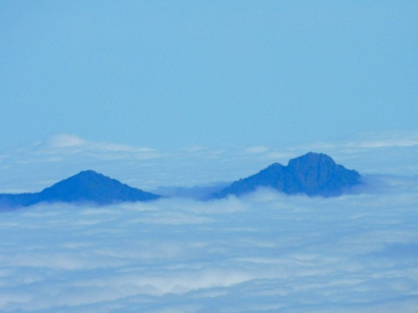 Campanita entre las nubes