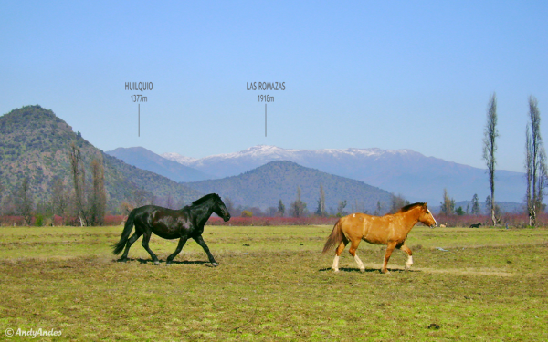 Huilquio desde Gultro