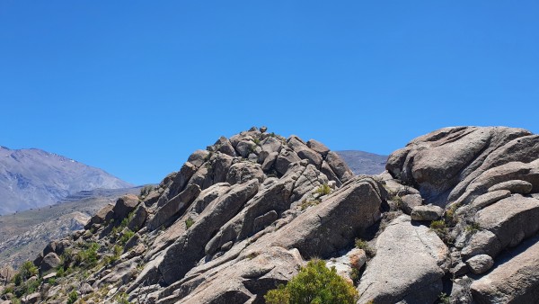 Vista de la cumbre de Lomas del Olivillo