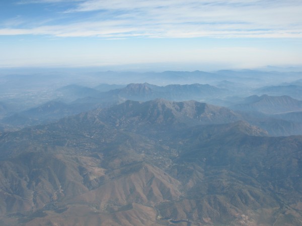 El roble desde el aire