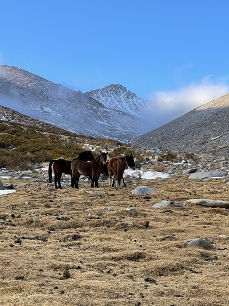 Cumbre potrerito sur 