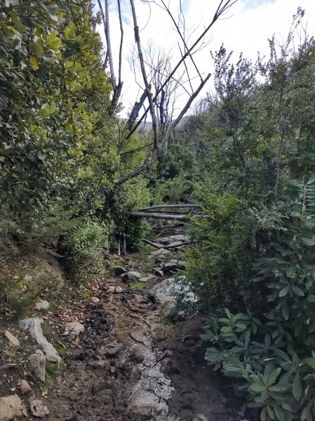Cruce de la quebrada