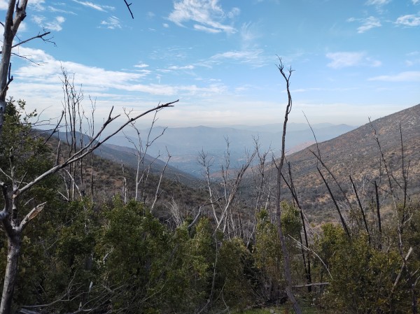 Valle de Curacavi