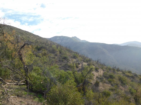 Primera vista de la cima