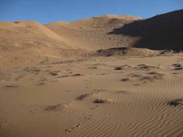 1.- Cara NE Co. Medanoso 1.643msnm