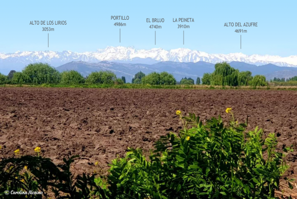 Cordillera de San Fernando