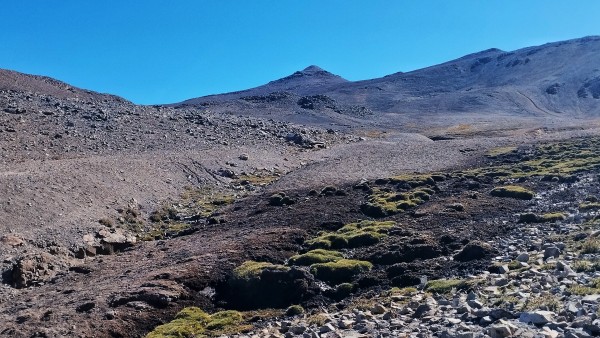 Cerro Punta Guanaco 