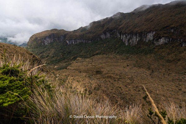 Transicion del paramo a superparamo