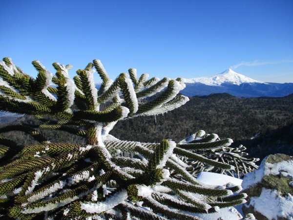 EL Villarrica y su fumarola 