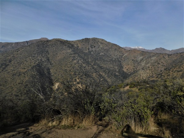 Vista desde el vecino menor