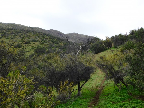 Primera vista de la cumbre