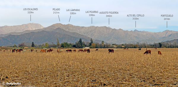 Cajón Laguna o Los Leones