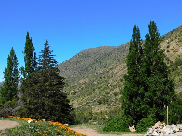 Comenzando la caminata