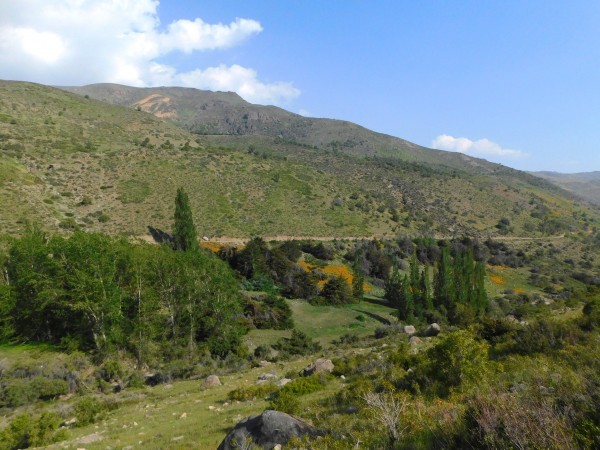 Colores de primavera