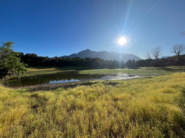 Laguna de los patos