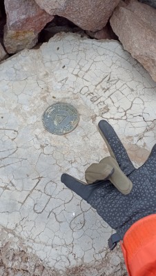 Cumbre El Mesón de Los Andes