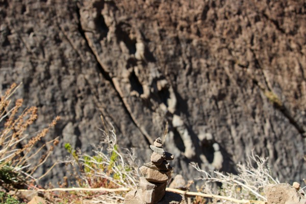 Huellas del Dinosaurio