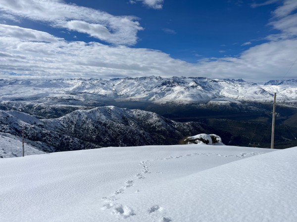Cumbre cerro alto los canelos
