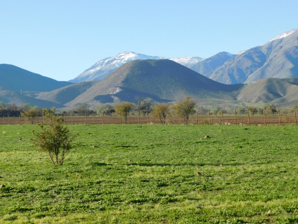 Cerro Tongoro